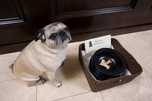 The Dalles Inn image 10